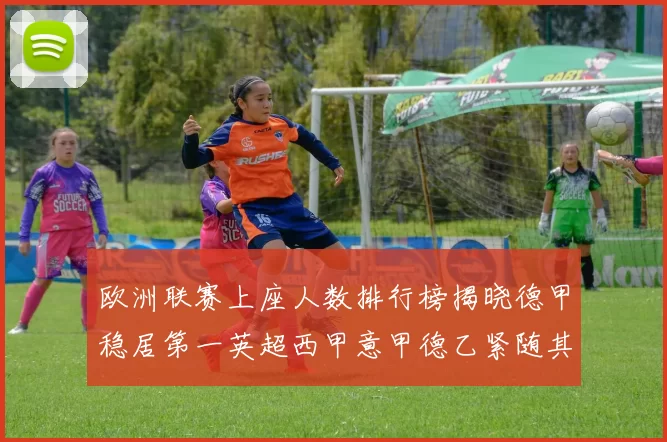 欧洲联赛上座人数排行榜揭晓德甲稳居第一英超西甲意甲德乙紧随其后